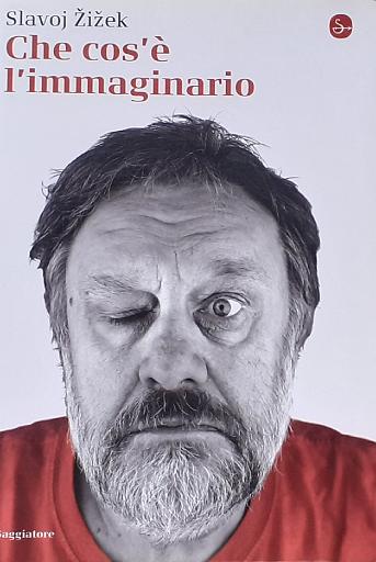 Slavoj Zizek_Che cos_e_l_immaginario